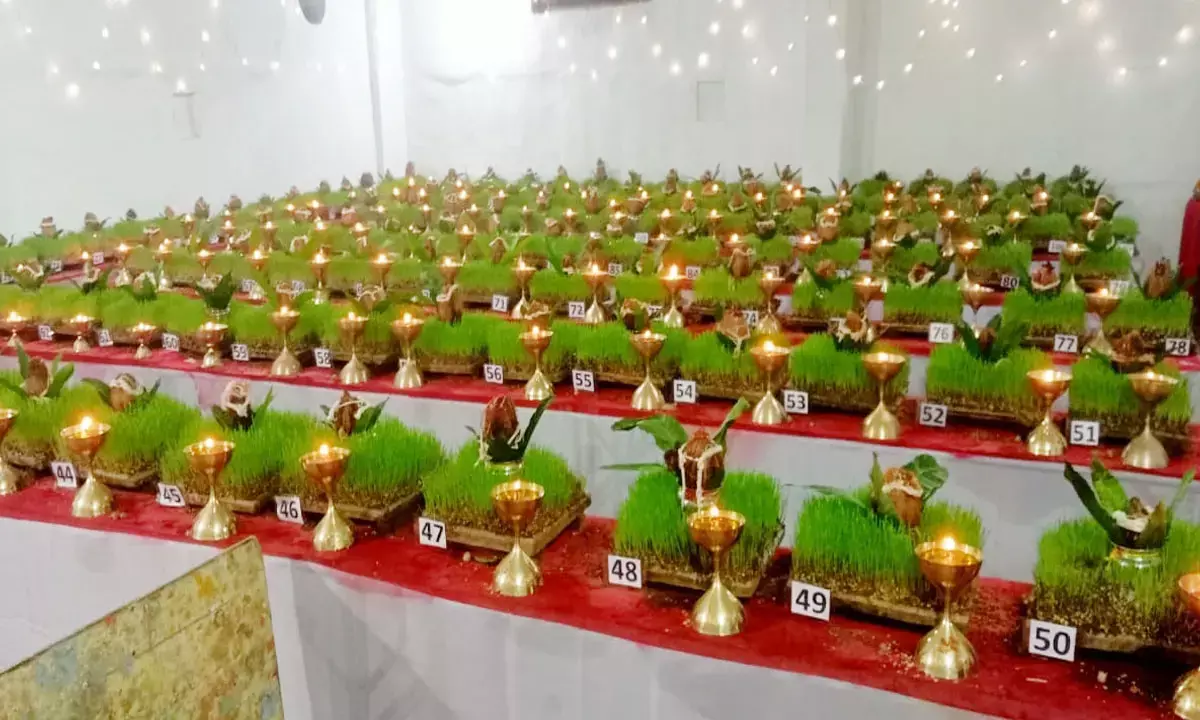 जंवारा जंवारा