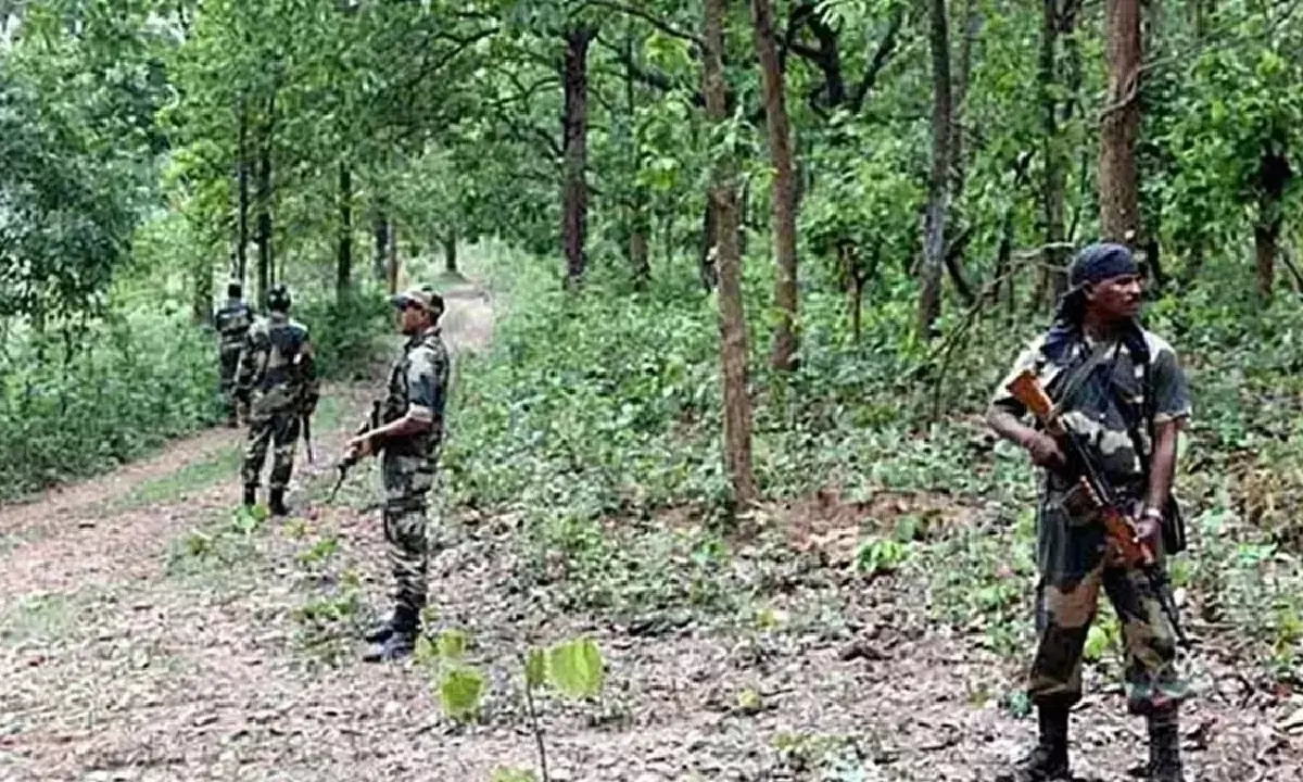 मार गिराए गए दो नक्सली : अबूझमाड़ में भीषण मुठभेड़, दो पुरुष नक्सलियों के शव हथियार समेत बरामद