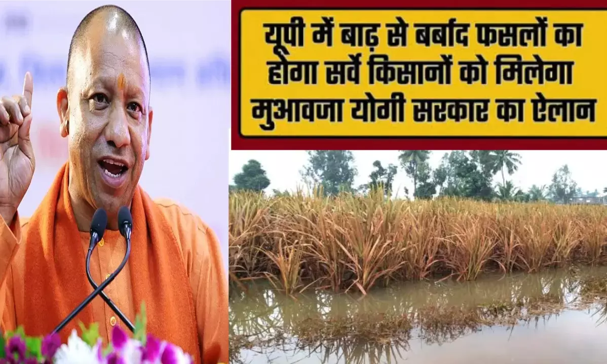 7000 किसानों की फसलें तबाह, 125 ने गंवाई जान! योगी सरकार करेगी नुकसान की भरपाई
