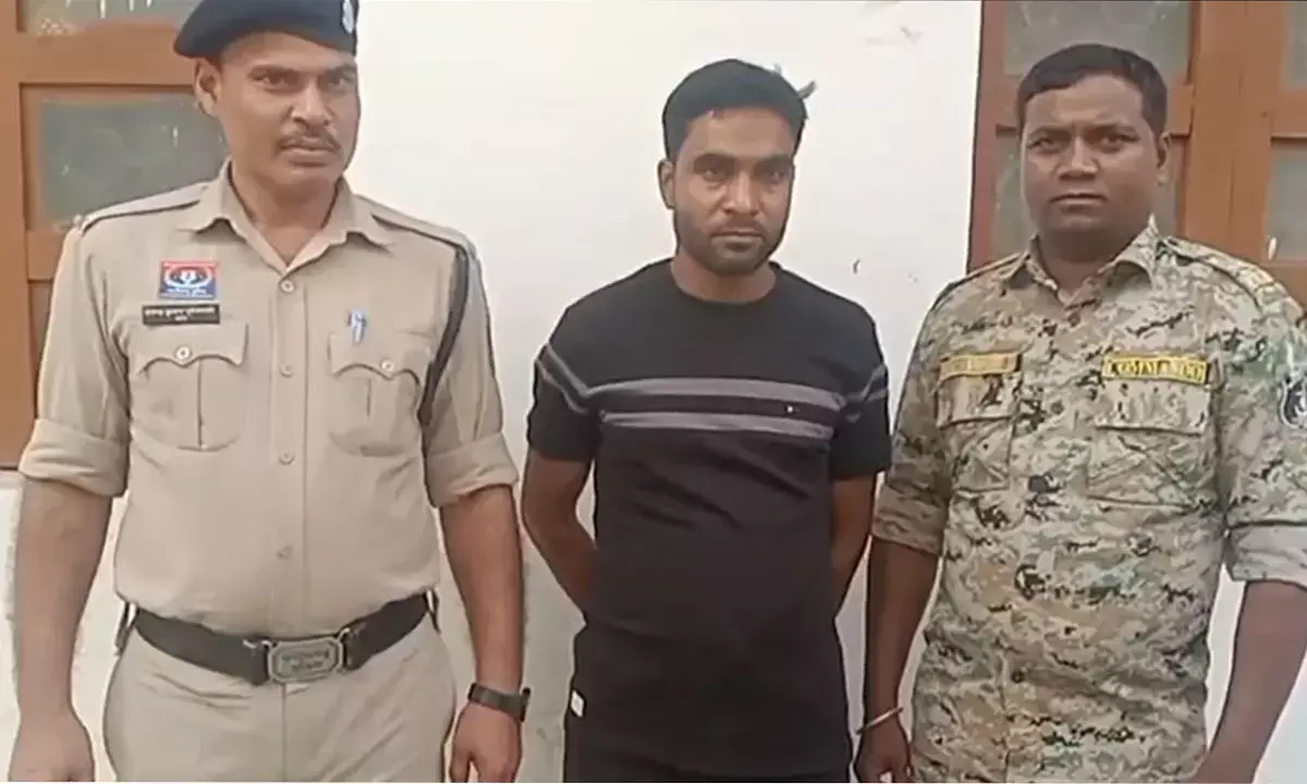 अंतरराज्यीय पशु तस्कर