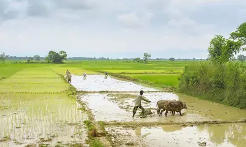 अवैध प्लाटिंग पर रोक