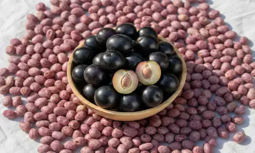 jamun seeds home remedies