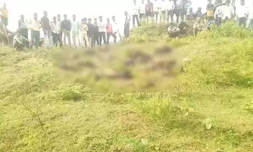 तेज बरसात के बीच गिरी आकाशीय बिजली ने ली 27 बकरे-बकरियों की जान तेज बरसात के बीच गिरी आकाशीय बिजली ने ली 27 बकरे-बकरियों की जान