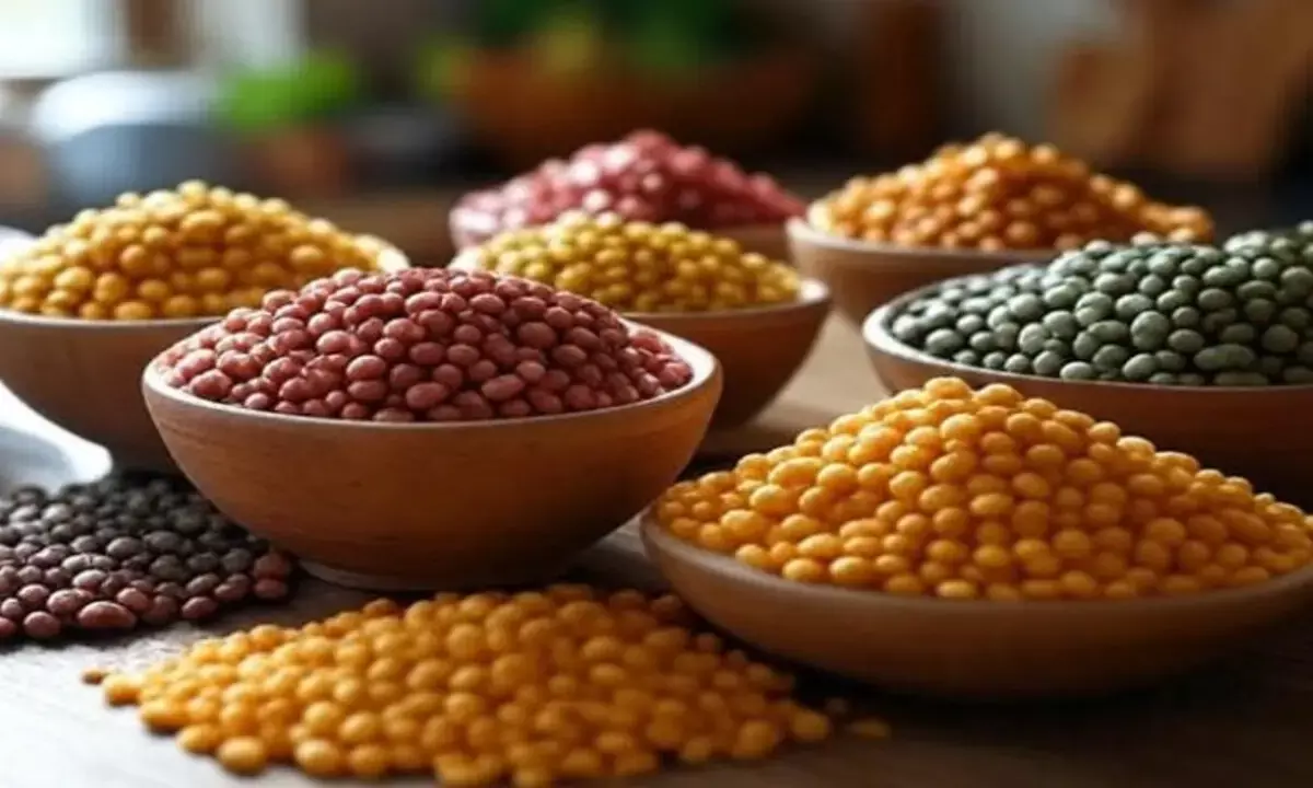 इन दालों को जरूर खाएं