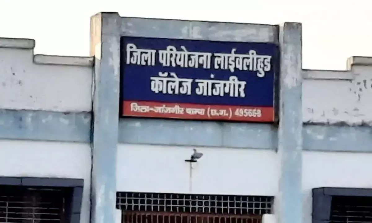 लाईवलीहुड कॉलेज