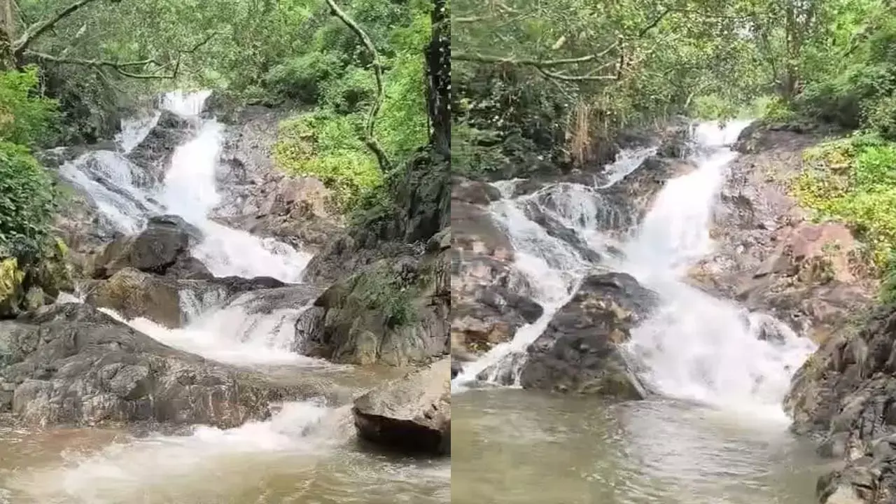 पहाड़ी झरनों की प्राकृतिक खूबसूरती पहाड़ी झरनों की प्राकृतिक खूबसूरती