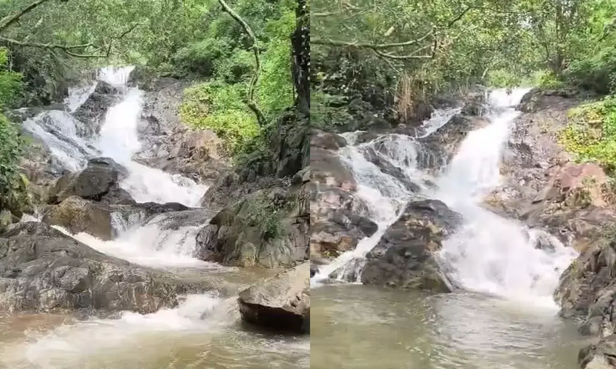 पहाड़ी झरनों की प्राकृतिक खूबसूरती
