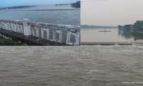 महानदी महानदी