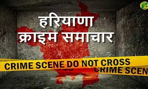 haryana crime news