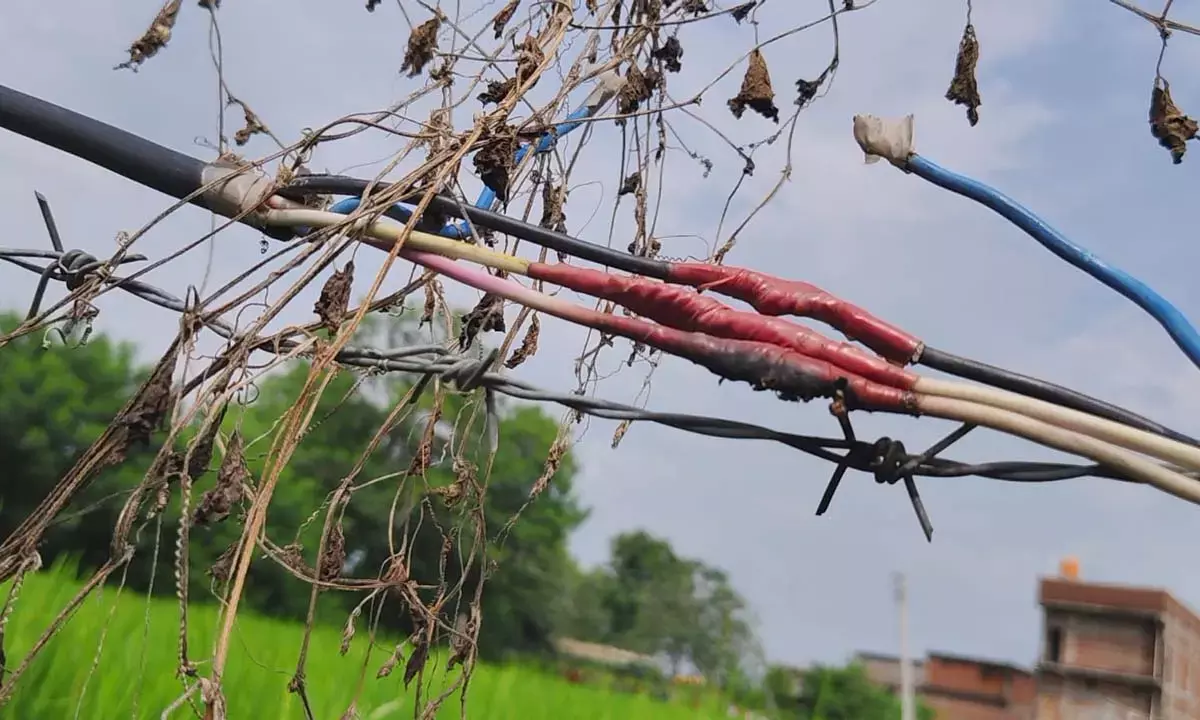 करंट लगने से महिला की मौत : बोर के लिए लगाई गई तार से फेंसिंग में फैला था करंट