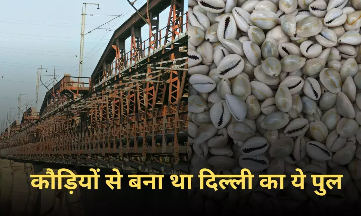 Kaudiya Pul Of Delhi