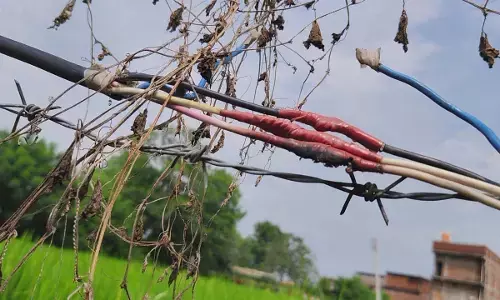 करंट लगने से महिला की मौत : बोर के लिए लगाई गई तार से फेंसिंग में फैला था करंट करंट लगने से महिला की मौत : बोर के लिए लगाई गई तार से फेंसिंग में फैला था करंट
