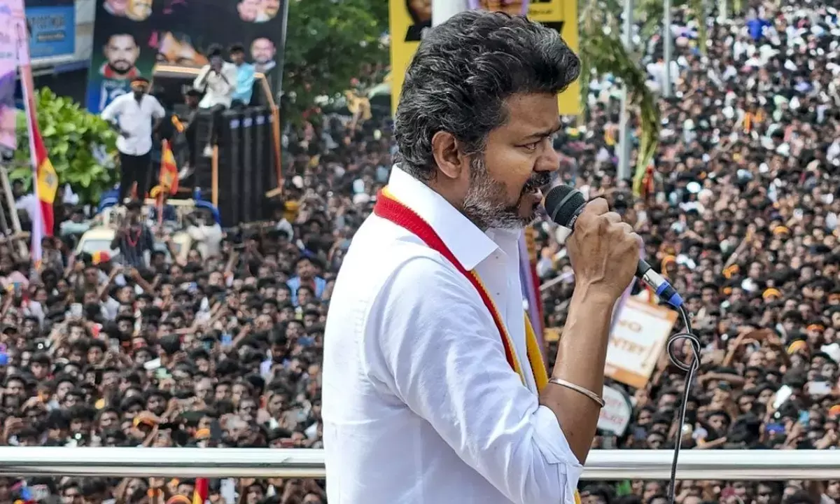 Tamil Nadu Stampede news vijay Thalapathi