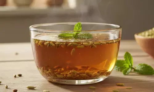 fennel seeds water health benefits