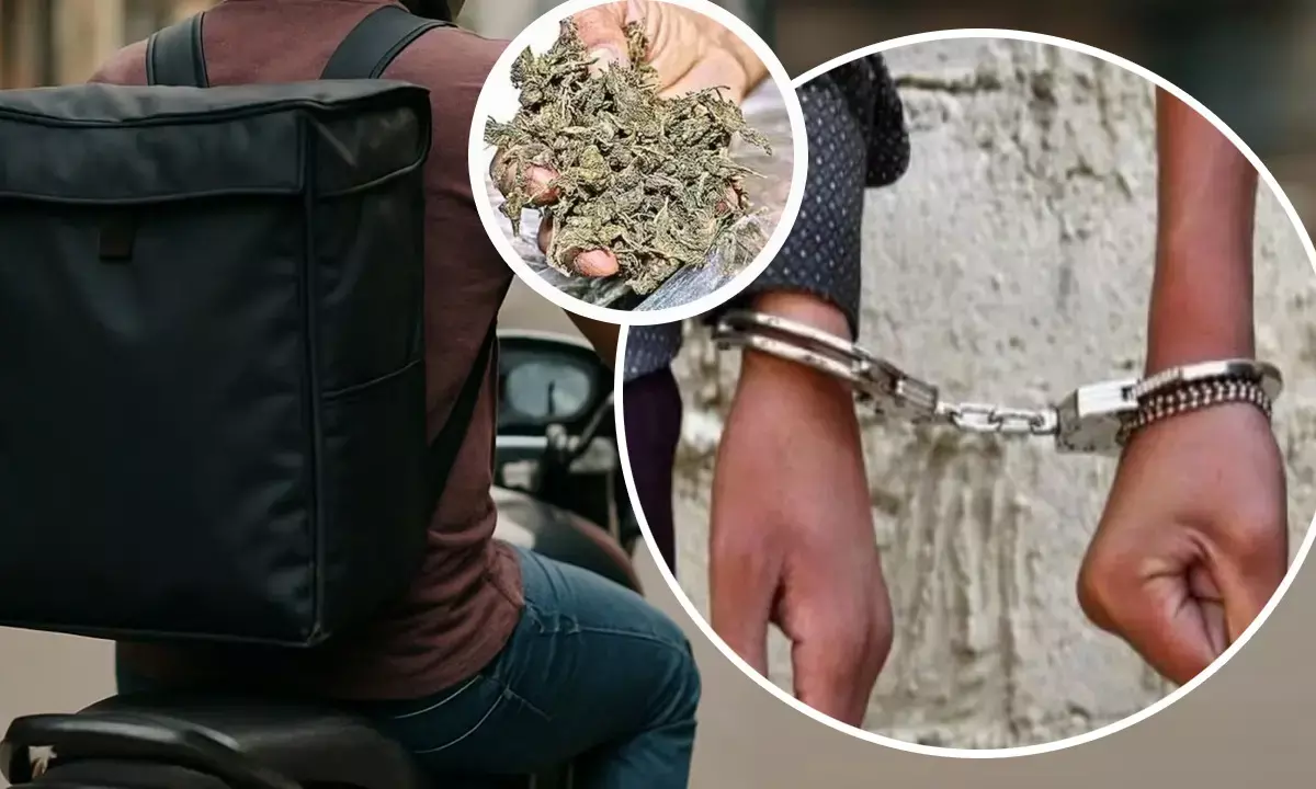 Delhi police three ganja smuggler arrested