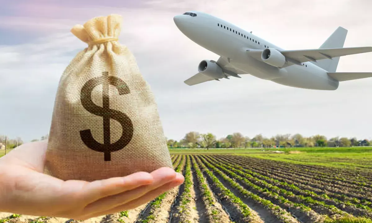 haryana crops export haryana crops export