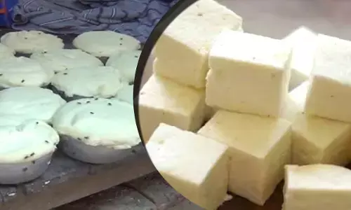 Fake Paneer khoya