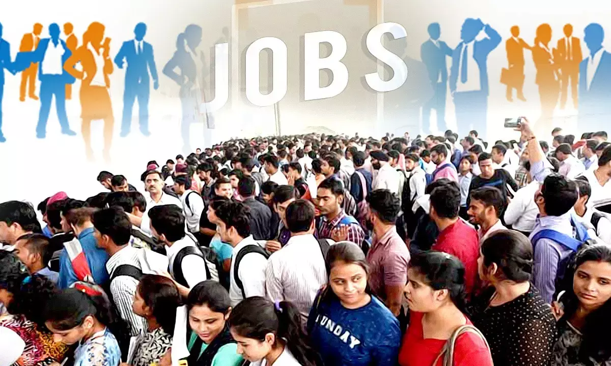 Delhi University Job Mela 2025