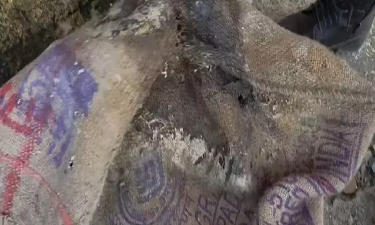 बस्तर में नान की एक और लापरवाही : दशहरा समिति को भेज दिया गया 100 क्विंटल घटिया चावल