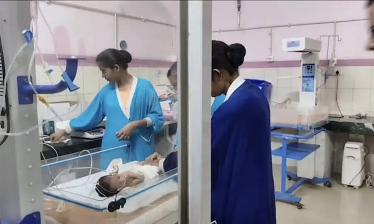 दुर्लभ मरमेड बेबी