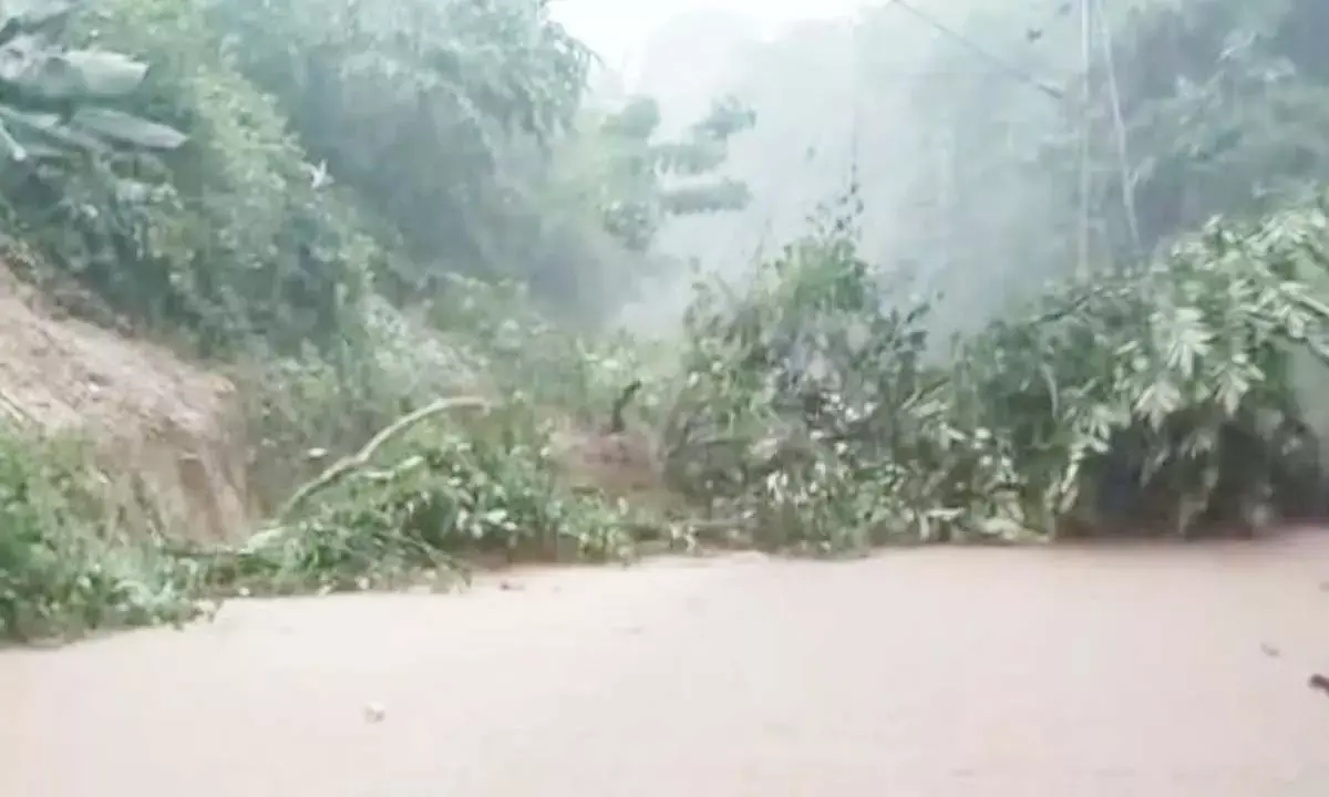 पेड़ गिरने रेल मार्ग बाधित