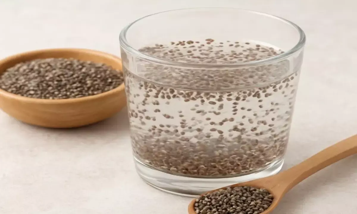 चिया सीड्स के फायदे चिया सीड्स के फायदे