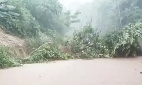 पेड़ गिरने रेल मार्ग बाधित पेड़ गिरने रेल मार्ग बाधित