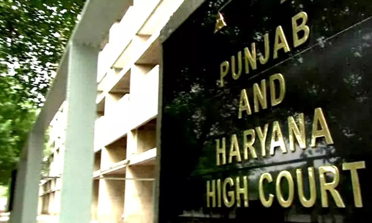 Haryana News Hindi Haryana News Hindi