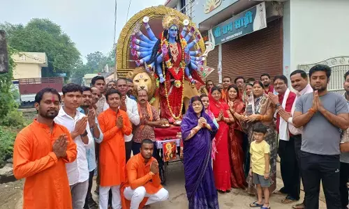 पांडुका में भव्य विसर्जन झांकी