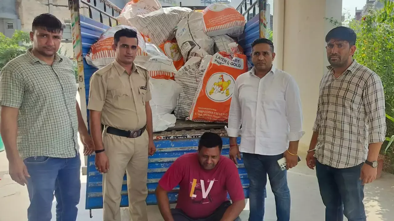 illegal crackers illegal crackers