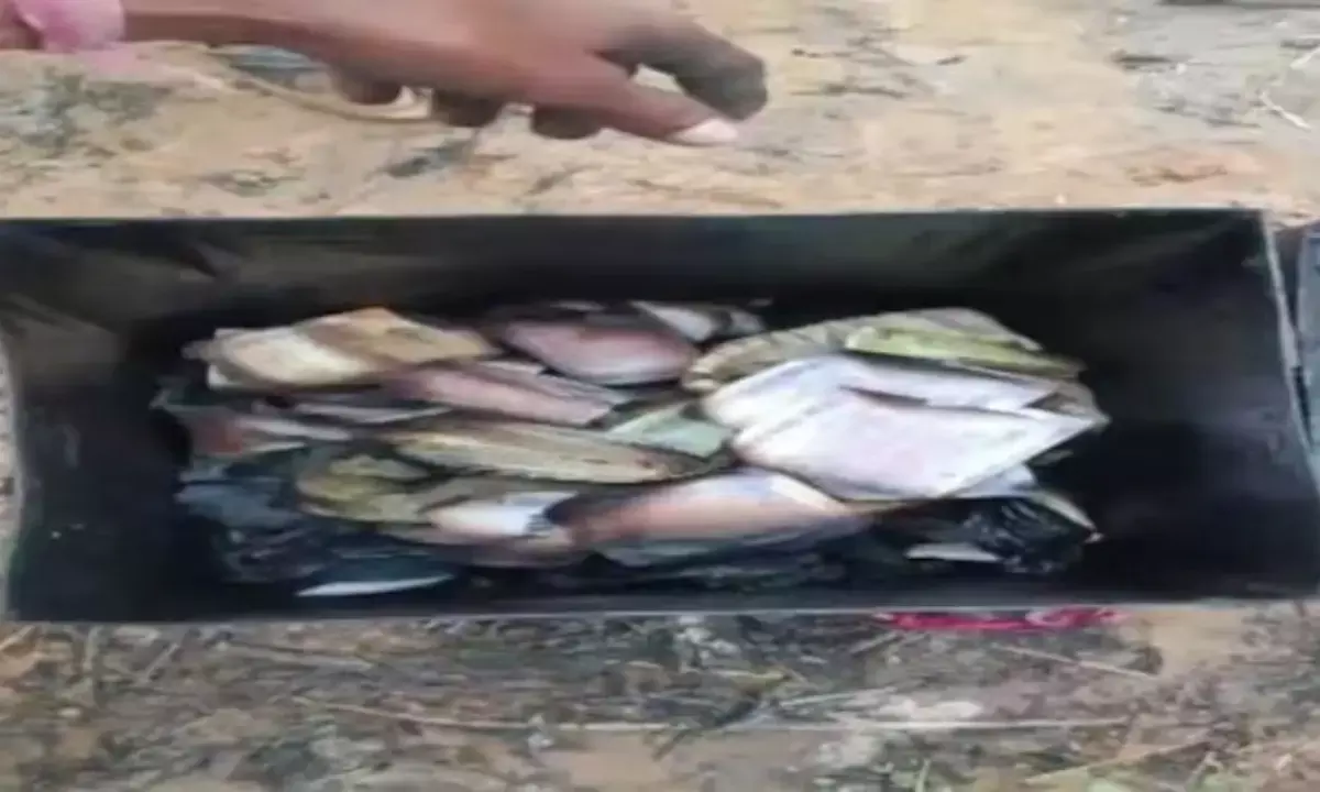 किसान की झोपड़ी में लगी भीषण आग, 10 लाख रुपए जलकर खाक