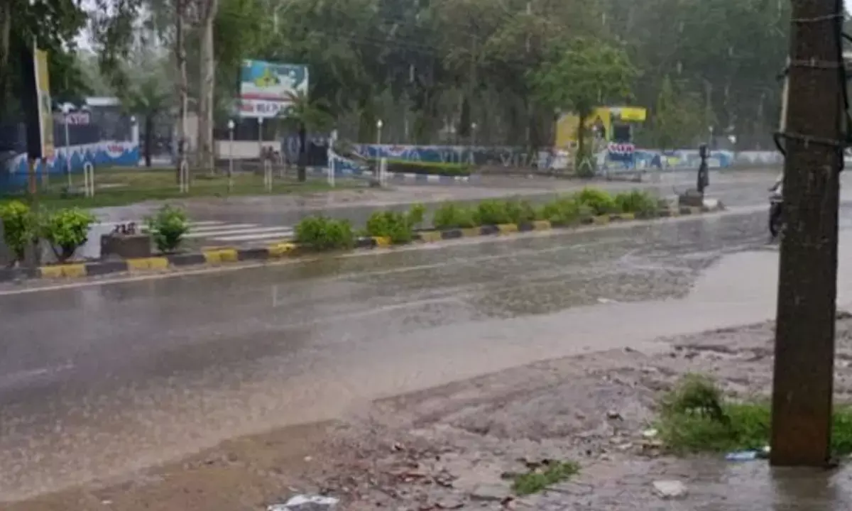 haryana weather update