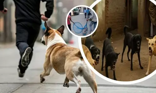 Delhi JLN Stadium 2 foreign coaches bitten by stray dogs