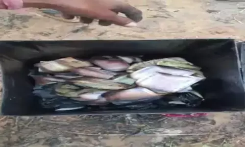 किसान की झोपड़ी में लगी भीषण आग, 10 लाख रुपए जलकर खाक