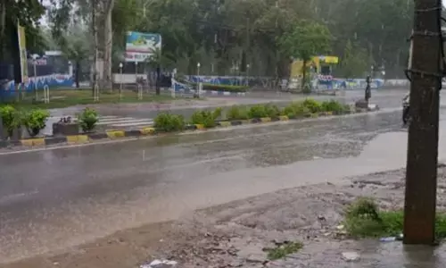 haryana weather update