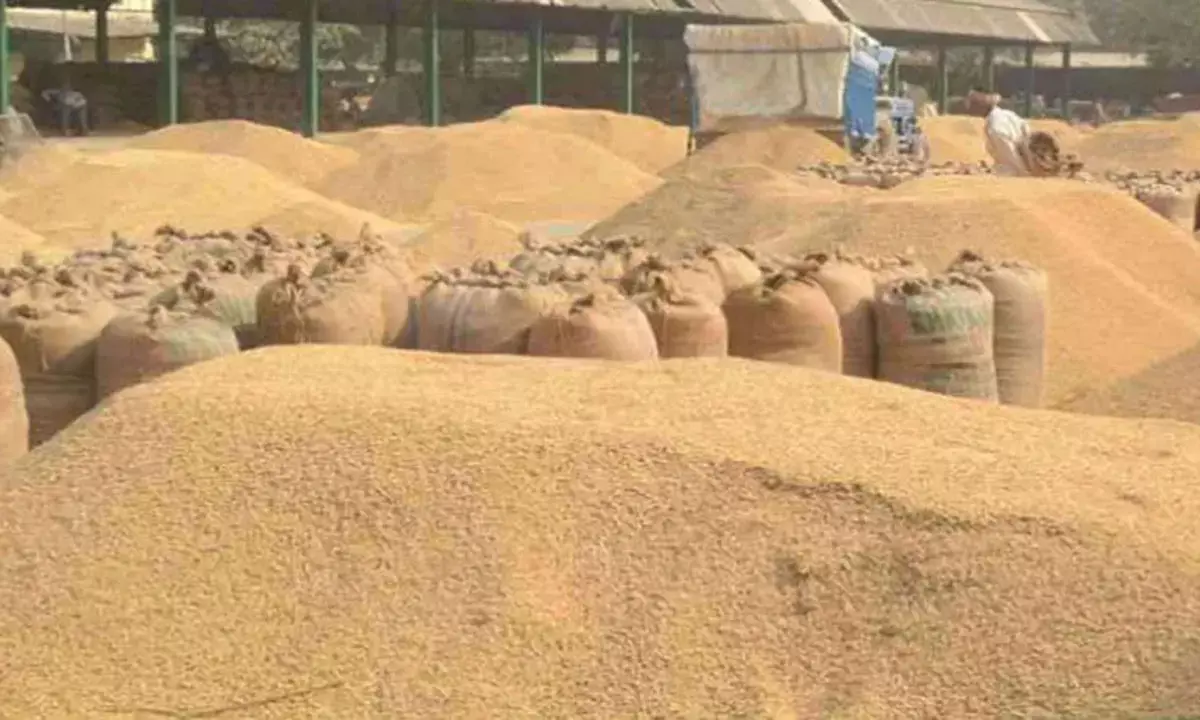 छत्तीसगढ़ में 15 नवंबर से होगी धान खरीदी