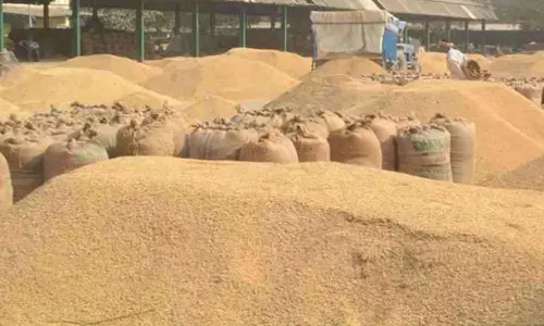 छत्तीसगढ़ में 15 नवंबर से होगी धान खरीदी