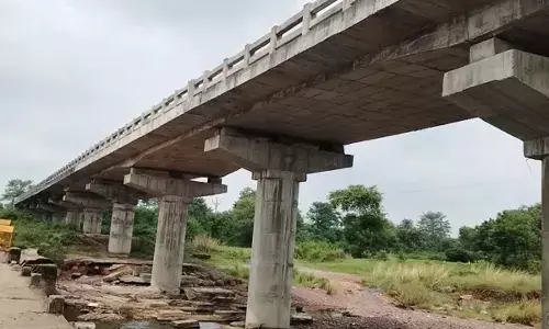 अधूरा पड़ा है बिक्रमपाली नाला का पुल