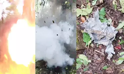 दंतेवाड़ा में नक्सलियों की बड़ी साजिश नाकाम