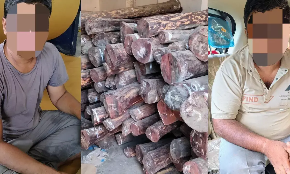 2 red sandalwood smugglers arrested