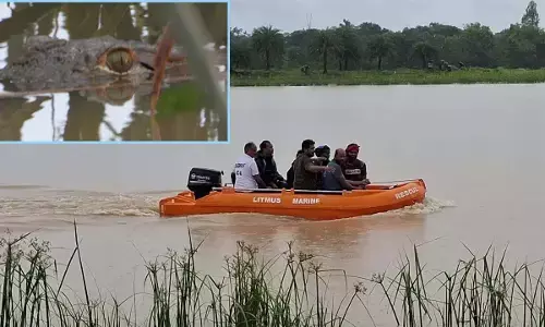 मगरमच्छ ने वन विभाग की टीम को 38 दिन तक छकाया