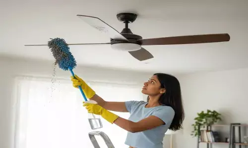 ceiling fan cleaning Tips
