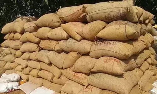 8 लाख टन चावल