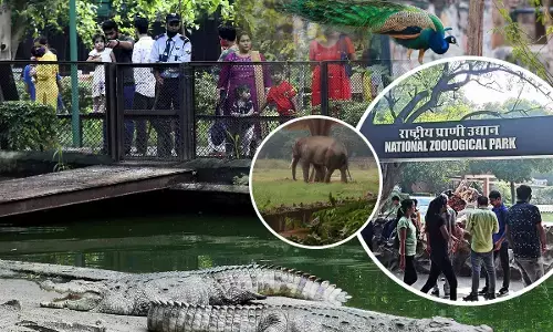 National Zoological Park