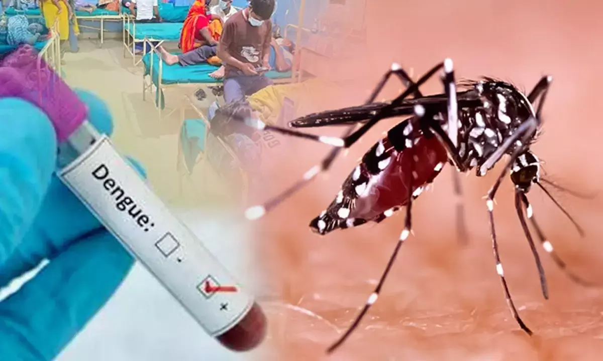 हरियाणा में बढ़ रहा डेंगू का खतरा, स्वास्थ्य विभाग ने जारी की एडवाइजरी