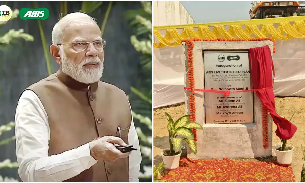 एबीस फिश फीड प्लांट