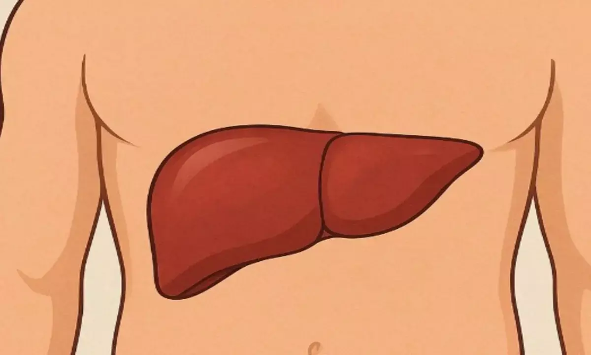 लीवर को ठीक कैसे करें