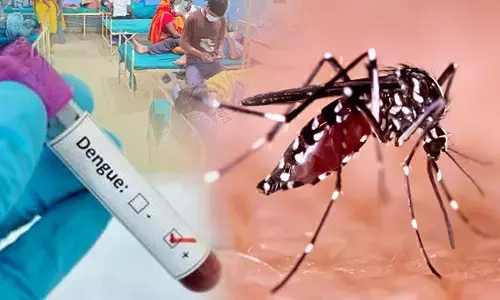 हरियाणा में बढ़ रहा डेंगू का खतरा, स्वास्थ्य विभाग ने जारी की एडवाइजरी