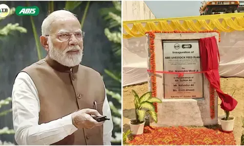 एबीस फिश फीड प्लांट