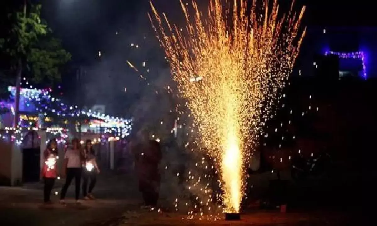 Haryana Fireworks Ban